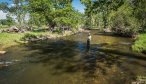 Guided wade fishing