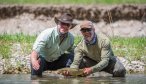 Smith River brown trout