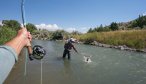 Guide netting fish