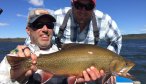 giant brook trout