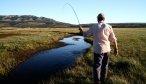 fly fishing argentina