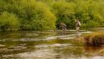 fly fishing argentina