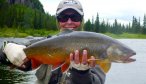 Huge brook trout