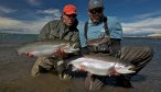 Giant Rainbow Trout