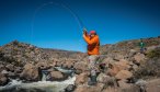 Biggest rainbow trout in the world