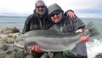 Giant Rainbow Trout