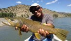 Montana fly fishing guides