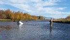 Montana Fishing Guides, Montana Fly Fishing