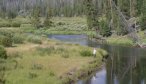 Montana Angler, Montana Fishing Vacations