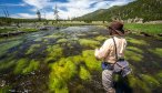 Fly Fishing Yellowstone National Park