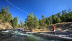 Montana fly fishing guides