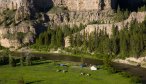 Montana Angler Overnight Fishing Trips