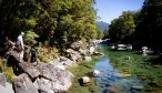 spotting trout in nz