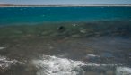 River Mouth Argentina