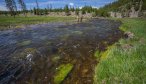 summer fishing in yellowstone park