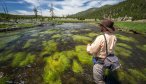 catching fishing on the Gibbon River