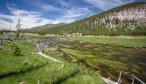 Yellowstone Park fly fishing guide