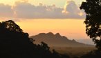 The Belize jungle at sunset