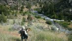 Montana Angler, Montana Fishing Vacations