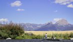 Fly Fishing the Madison River