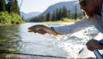 Dry Fly Fishing South Fork Flathead Cutthroat