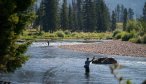 Bob Marshall Wilderness wade fishing