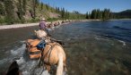 Bob Marshall Wilderness Pack String River Crossing