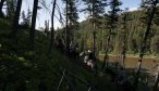 Horse Pack Trip Bob Marshall Wilderness