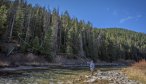 Gallatin River fly fishing trips