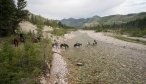 river crossing Montana