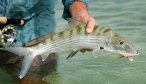 International Fly Fishing Trips