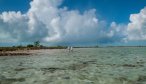 wade fishing bonefish