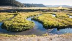 Montana Fly Fishing, Montana Private Water