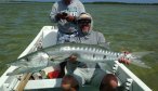 trophy Barracuda Mexico