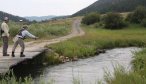 casting for trout on musselshell