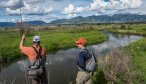 guided montana fishing