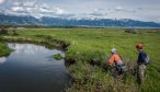 trout fishing montana