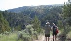 montana creek fishing