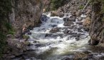 fly fishing yellowstone national park