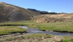 gardner river trout fishing