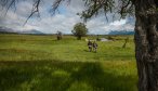 patagonia fishing