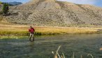 Yellowstone Park Guided Fly Fishing