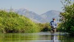 Small Stream Fishing