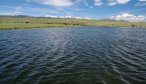 harrison lake fly fish guides