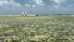 Turneffe Flats Lodge Belize