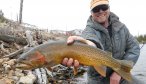 montana guiding fly fishing