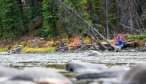 Bozeman fly fishing