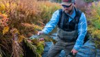 Montana guided fly fishing