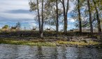 Montana Fly Fishing