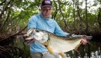 tarpon on fly